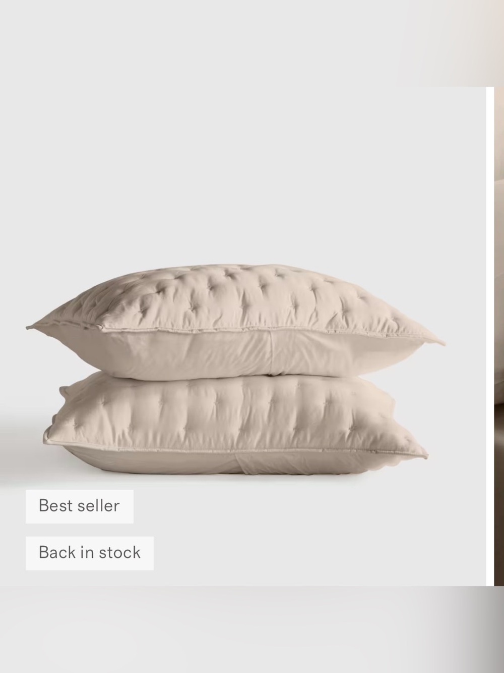 Quince Bamboo Dream Quilted Sham Set in Standard Size in Color Sand Brand New